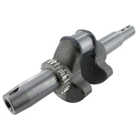 Vilebrequin BRIGGS ET STRATTON 495795