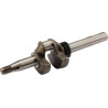 Vilebrequin avec roulements BRIGGS ET STRATTON 590538