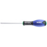 Tournevis TT27x100 EXPERT E160601