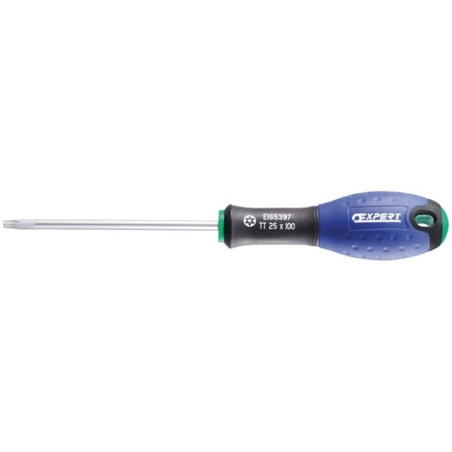 Tournevis TT10x75 EXPERT E165340