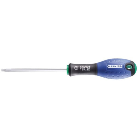 Tournevis T30x125 EXPERT E160510