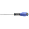 Tournevis PZ0x75 EXPERT E165319
