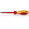Tournevis pourvis 6 pans KNIPEX TA981360