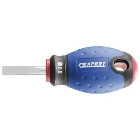 Tournevis fente 6,5x25 EXPERT E165404