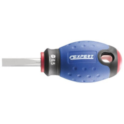 Tournevis fente 5,5x25 EXPERT E165400