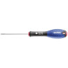 Tournevis fente 2 x 50 EXPERT E160101