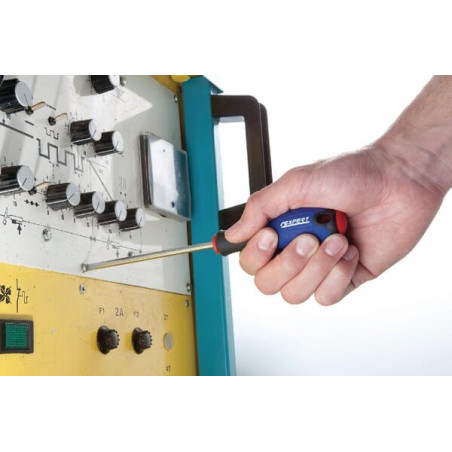 Tournevis fente 2 x 50 EXPERT E160101