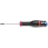 Tournevis FACOM AND1X250