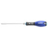 Tournevis EXPERT E160401