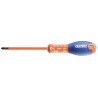 Tournevis EXPERT E165418