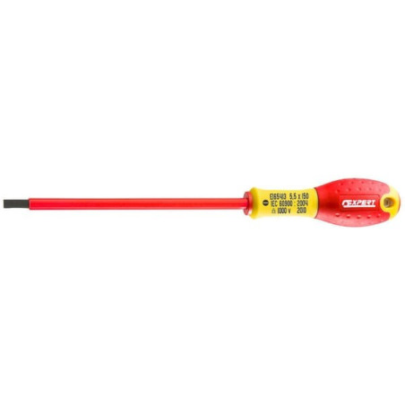 Tournevis EXPERT E165413