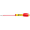Tournevis EXPERT E050608