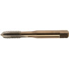 Taraud de machine M10 DORMER E000M10