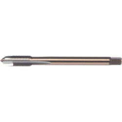 Taraud de machine DORMER EP4018