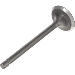 Soupape echappement BRIGGS ET STRATTON 820403
