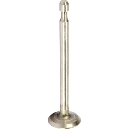 Soupape d'échappement BRIGGS ET STRATTON 590394