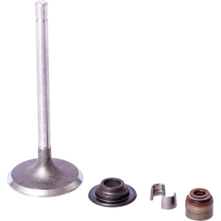 Soupape d'admission BRIGGS ET STRATTON 843730