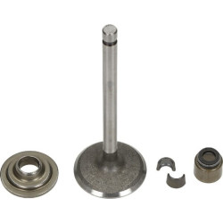 Soupape d'admission BRIGGS ET STRATTON 792200