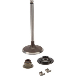 Soupape d'admission BRIGGS ET STRATTON 716080