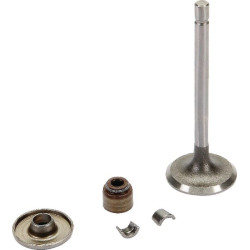 Soupape admission BRIGGS ET STRATTON 843751