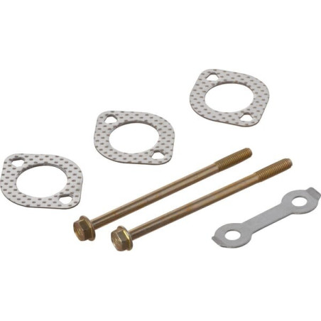 Silencieux BRIGGS ET STRATTON 596409