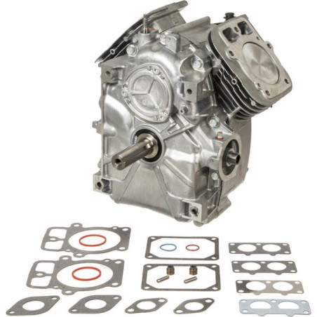 Shortblock modèle 44Q7 B&S BRIGGS ET STRATTON 797093A