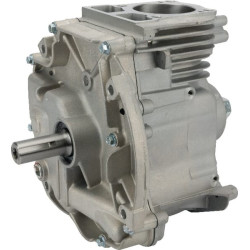 Shortblock modèle 1008 DOV BRIGGS ET STRATTON 795157A