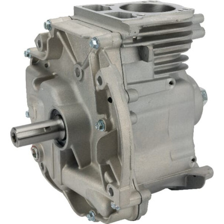 Shortblock modèle 1008 DOV BRIGGS ET STRATTON 795157A