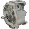 Shortblock modèle 1008 DOV BRIGGS ET STRATTON 795157A