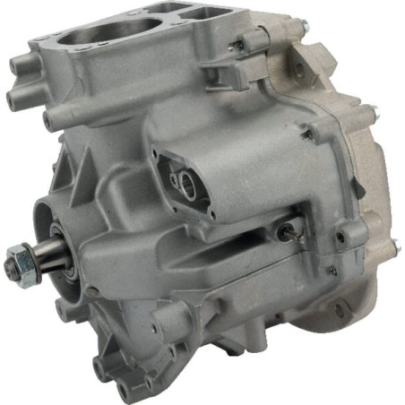 Shortblock modèle 1008 DOV BRIGGS ET STRATTON 795157A