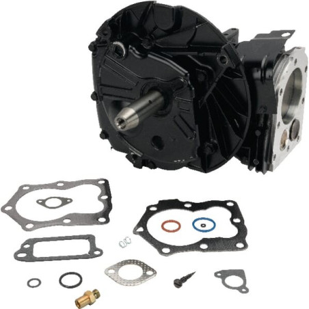 Shortblock BRIGGS ET STRATTON 799980