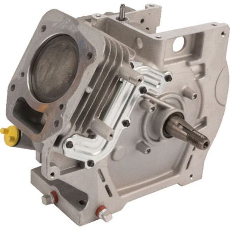 Shortblock BRIGGS ET STRATTON 791711