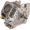 Shortblock BRIGGS ET STRATTON 791711