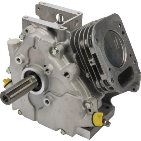 Shortblock BRIGGS ET STRATTON 699585