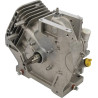 Shortblock BRIGGS ET STRATTON 699585