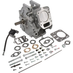 Shortblock BRIGGS ET STRATTON 699582
