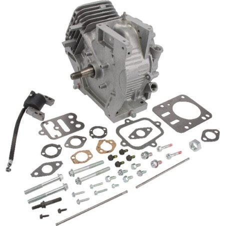 Shortblock BRIGGS ET STRATTON 699582