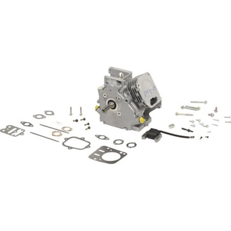 Shortblock BRIGGS ET STRATTON 699579