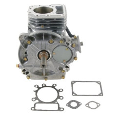 Shortblock BRIGGS ET STRATTON 697739