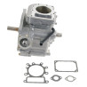 Shortblock BRIGGS ET STRATTON 697739