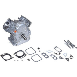 Shortblock BRIGGS ET STRATTON 695390