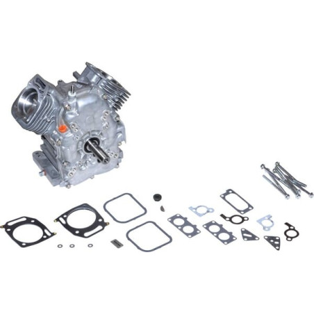 Shortblock BRIGGS ET STRATTON 695390