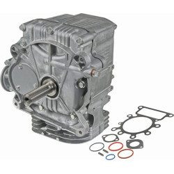 Shortblock BRIGGS ET STRATTON 592056