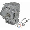 Shortblock BRIGGS ET STRATTON 592056