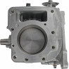 Shortblock BRIGGS ET STRATTON 592056