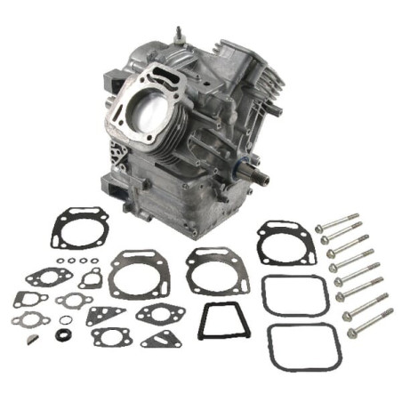 Shortblock BRIGGS ET STRATTON 496241