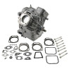Shortblock BRIGGS ET STRATTON 496241