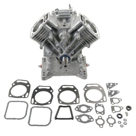 Shortblock BRIGGS ET STRATTON 496240