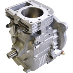 Shortblock BRIGGS ET STRATTON 494054