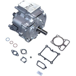 Shortblock 1008 DOV BRIGGS ET STRATTON 795158